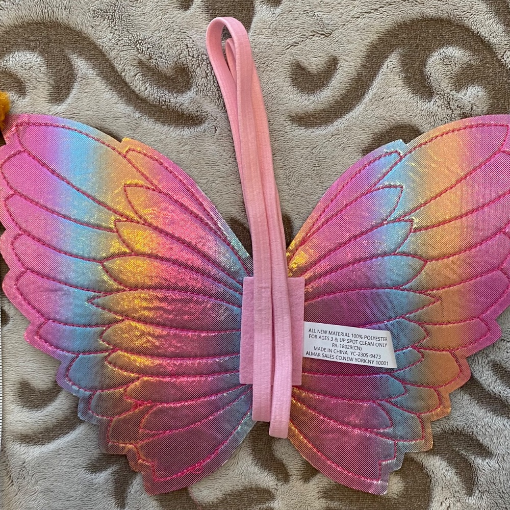Colorful Wings - Picture 3 of 4